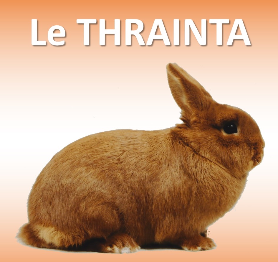 presentatie Thrianta Frankrijk