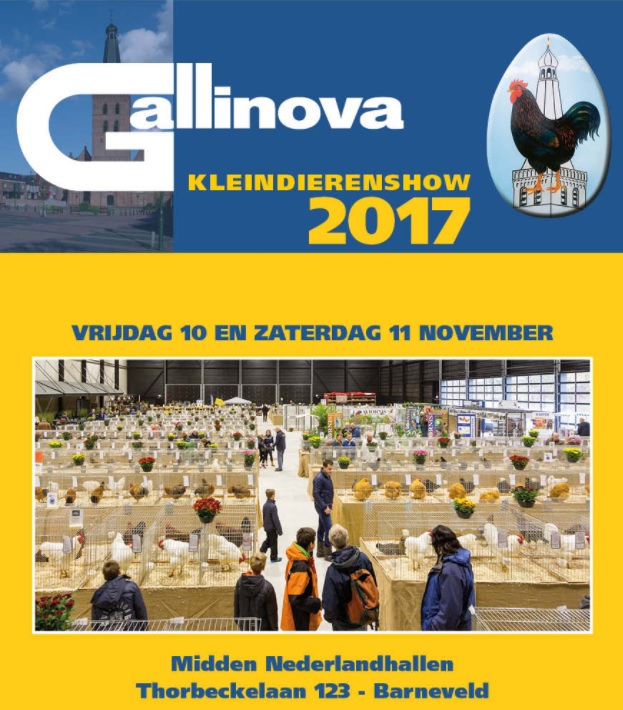 Gallinova 2017