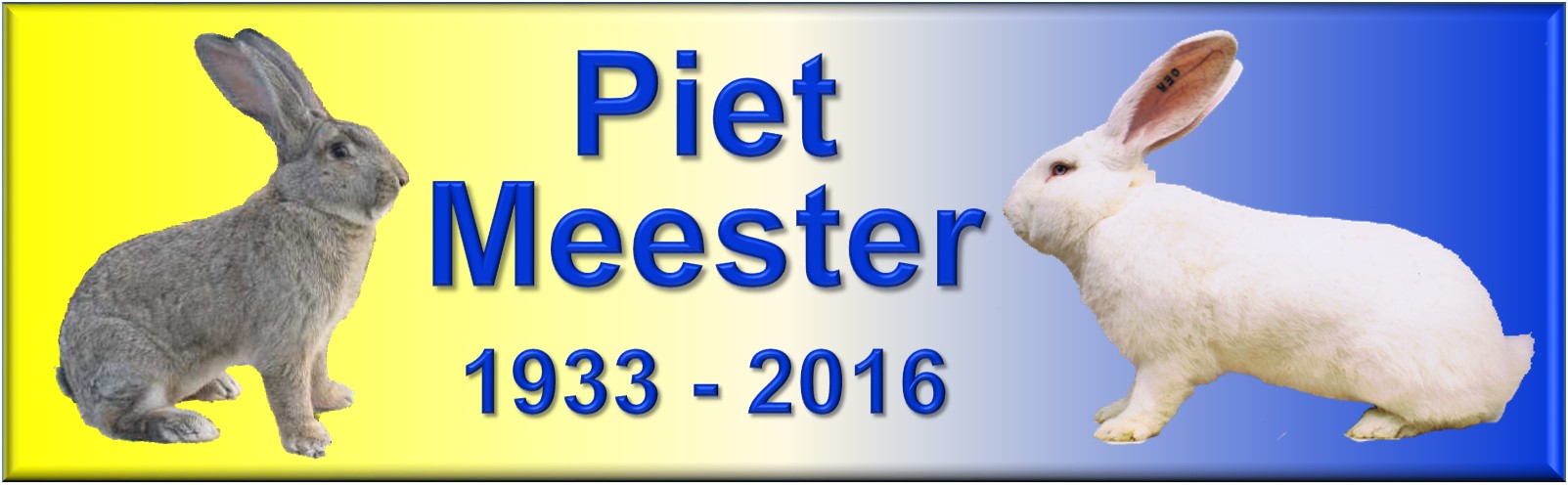 In Memoriam Piet Meester 2