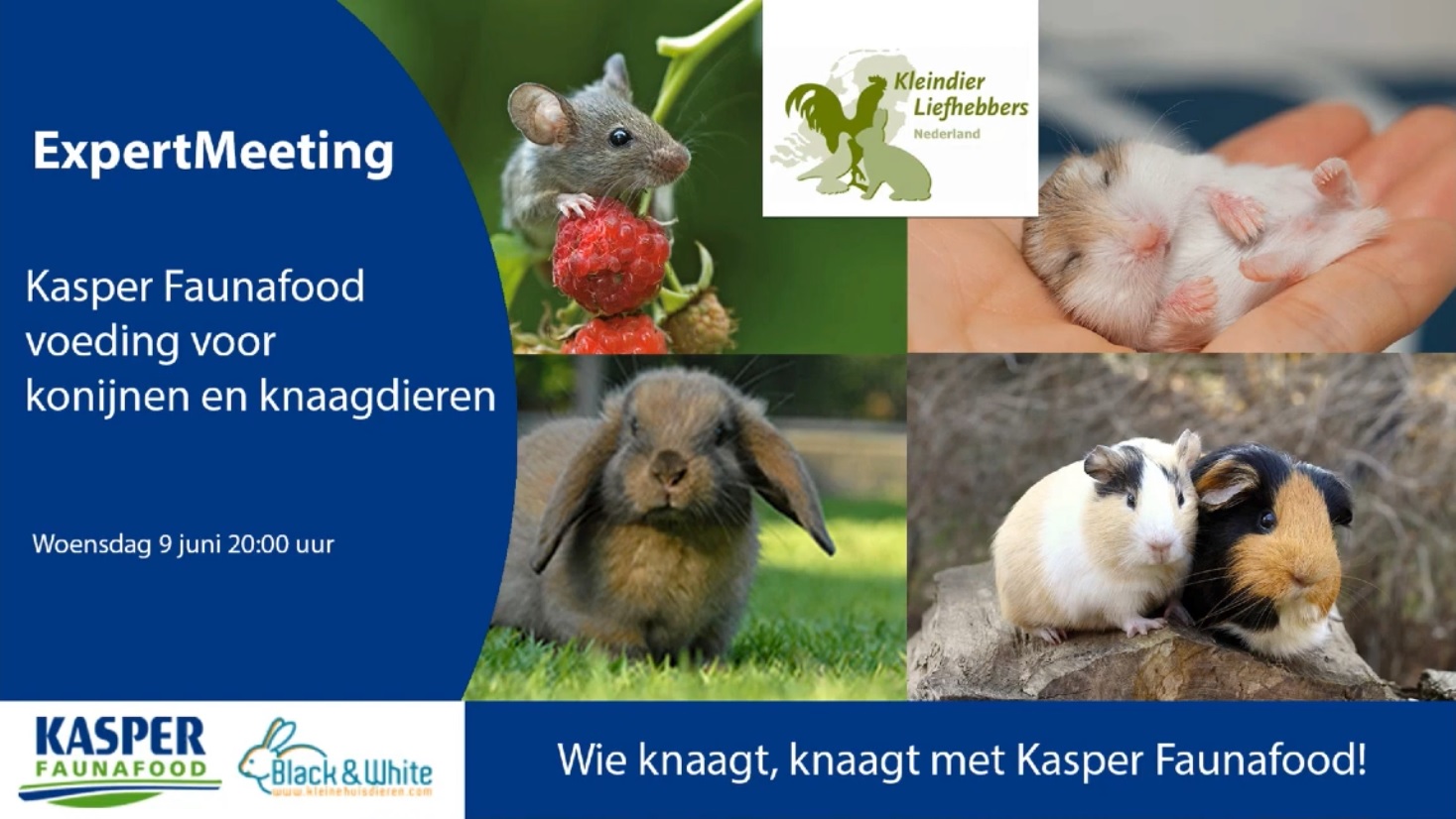 KLN ExpertMeeting Voeding voor konijnen en knaagdieren