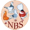 logo NBS