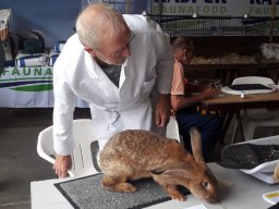 Jongdierendag 2024