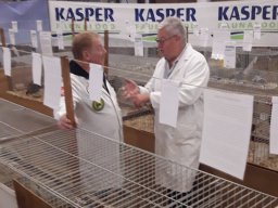 tussen_de_kooien_07